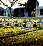 代理价直销的免费ddos网页端